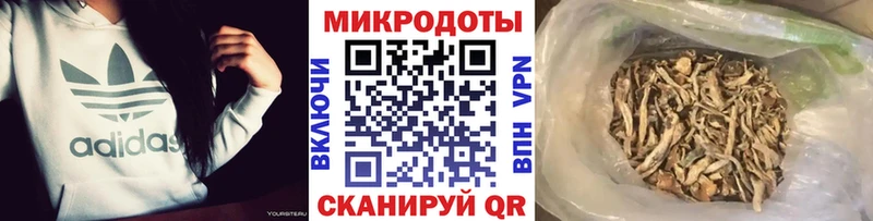 Псилоцибиновые грибы мицелий  цена   Новокубанск 
